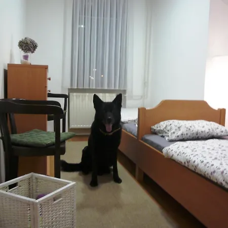 Vrba Hostel Ljubljana